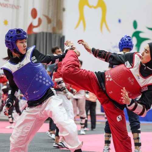 Nations come together for Jordan Taekwondo training camp - Jordan ...